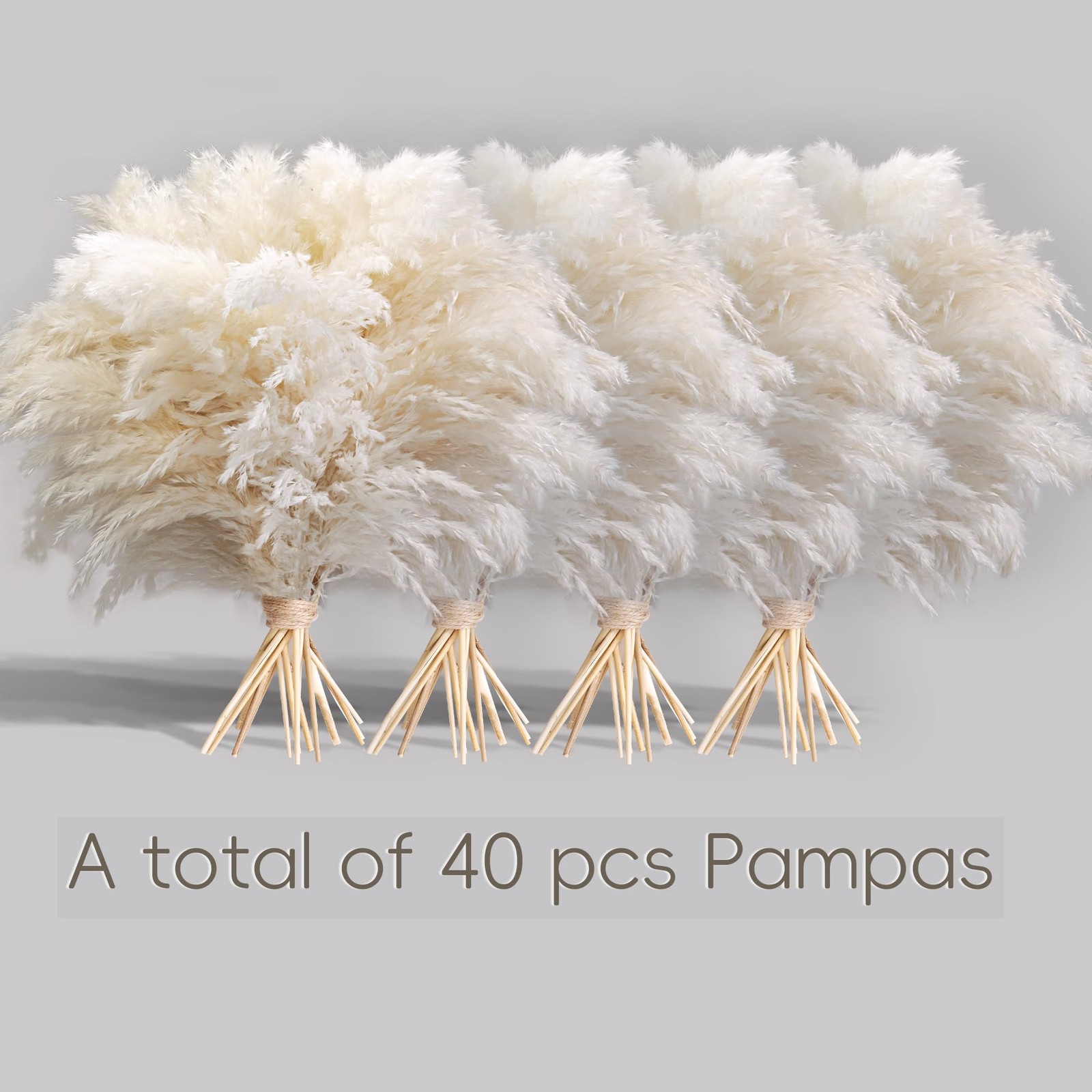 40PCS White Pampas Grass for Home Decor – Elegant Boho Decor – Premium Qualit…