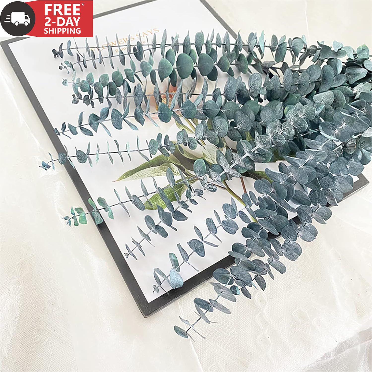 Eucalyptus for Shower 10 Pcs Hanging Dried Eucalyptu Stems 17″ Real Eucalyptus B