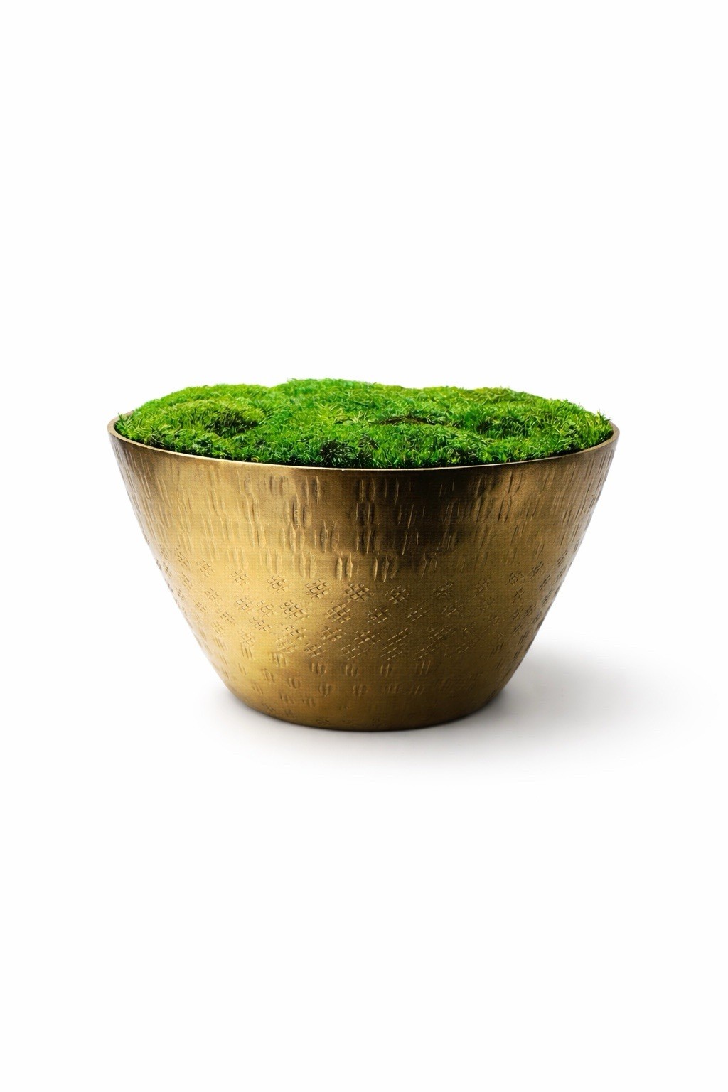 Preserved Moss Brass Bowl 5” x 6” Handmade Botanical Decor · No Maintenance Moss
