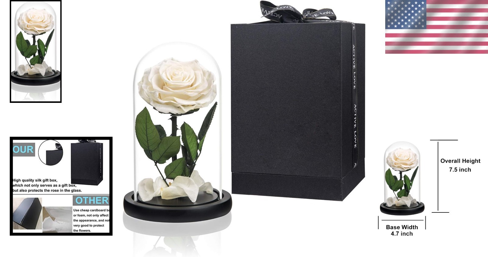 Stylish Glass Dome with Preserved Rose – Perfect Birthday or Mother’s Day Gift