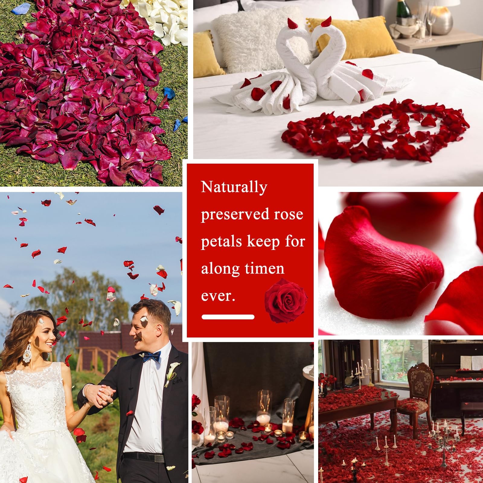 100g 3.5oz Real Red Dried Rose Petals Freeze Preserved Confetti Valentine