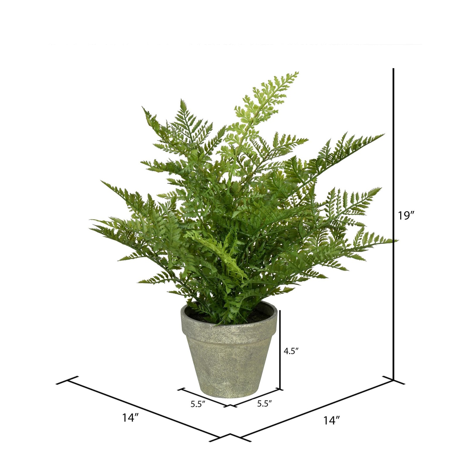 Vickerman 19″ Contemporary Plastic Artificial Potted Fern in Green