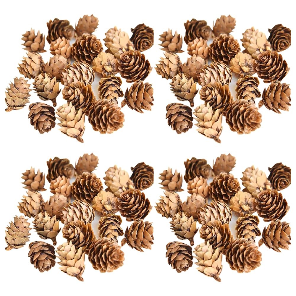 150 PCS Mini Pine Cones 12cm Brown For Vase Fillers Table Decor