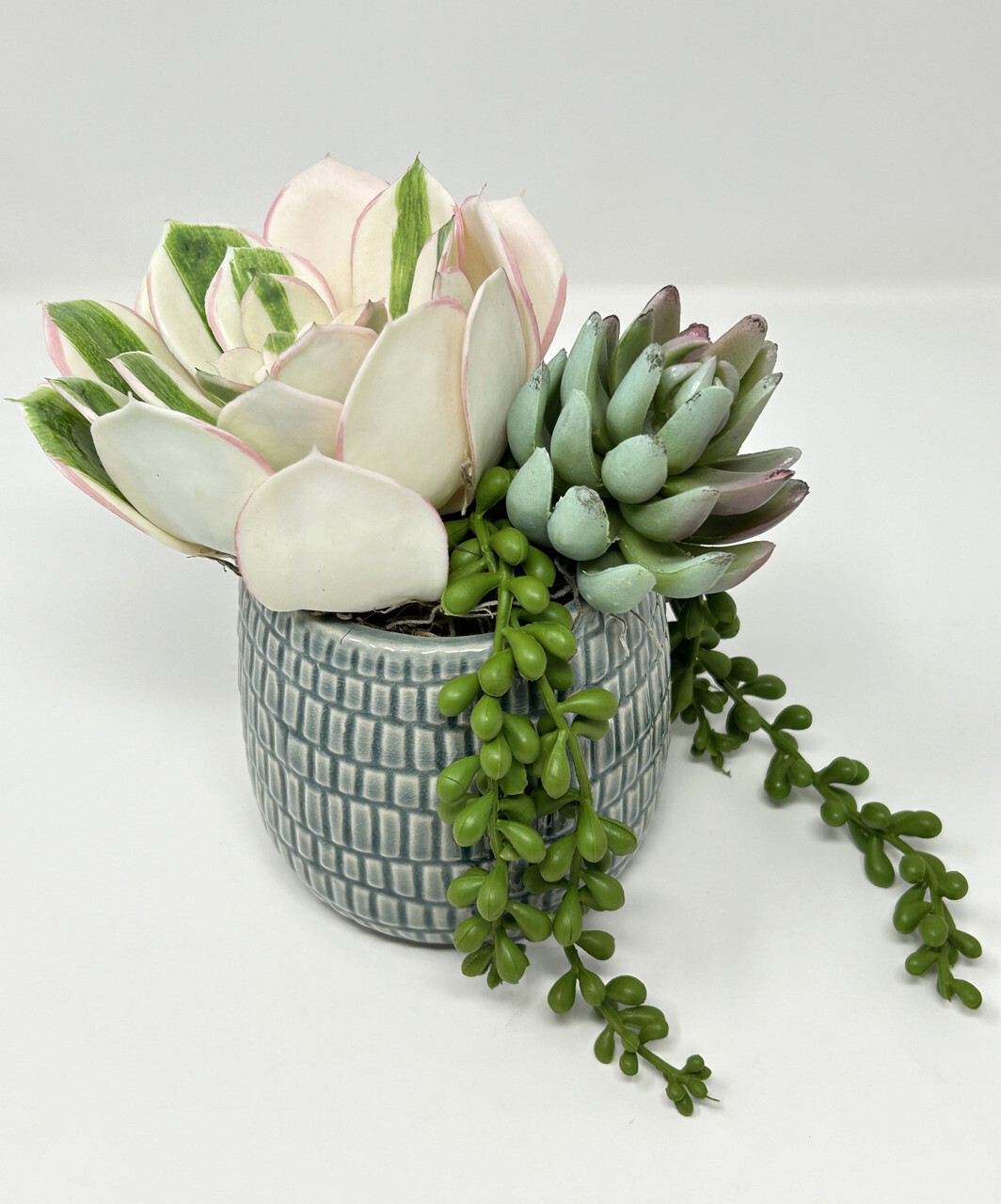 7″ Artificial White Succulent Garden #9 mixed arrangement, 4″ Teal-cream planter