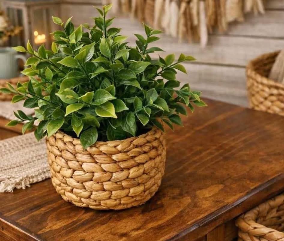 3″ X 4″ Mini Woven Basket Of Greenery