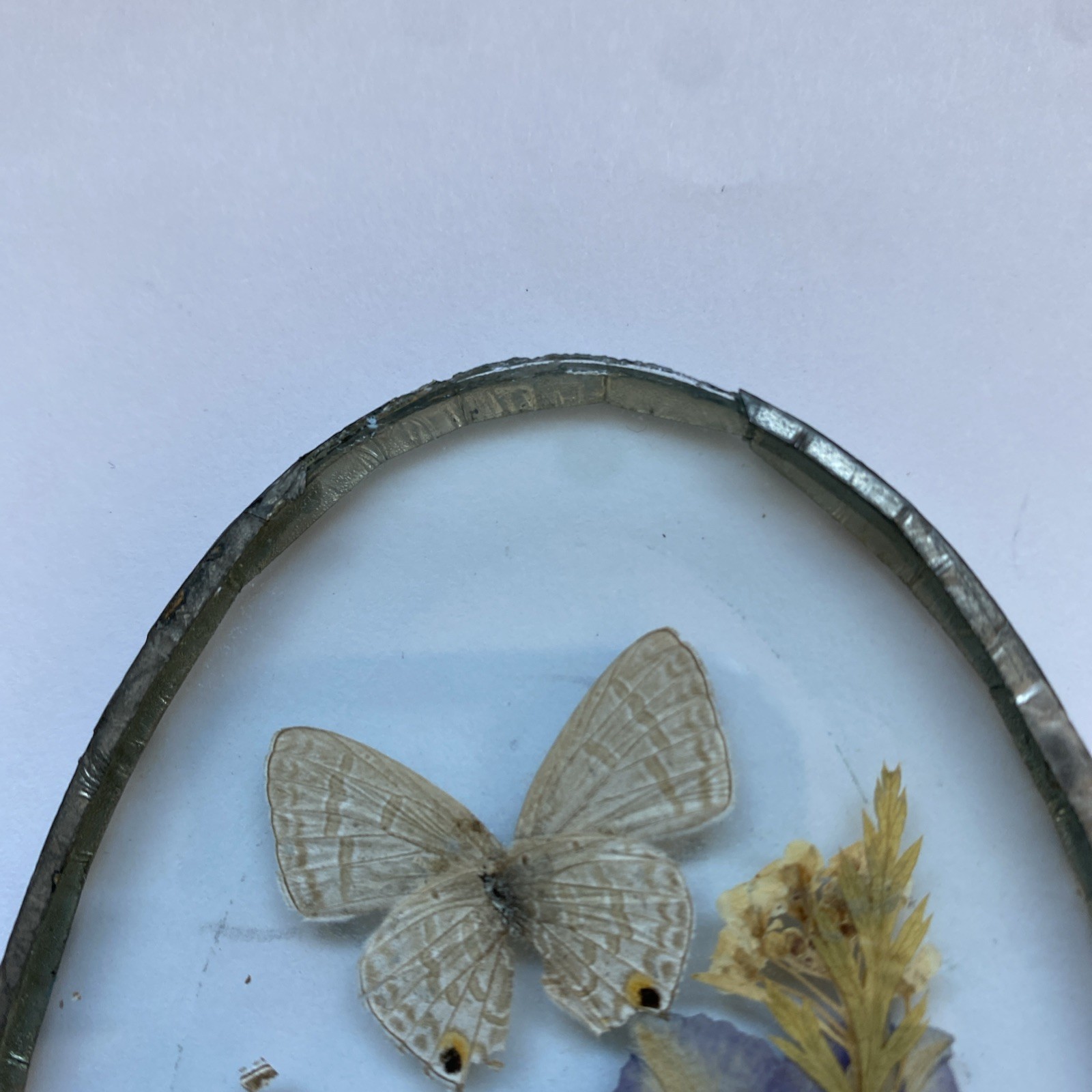 Vintage Pressed In Glass Butterfly & Flowers Pewter Frame Plaque Or Suncatcher