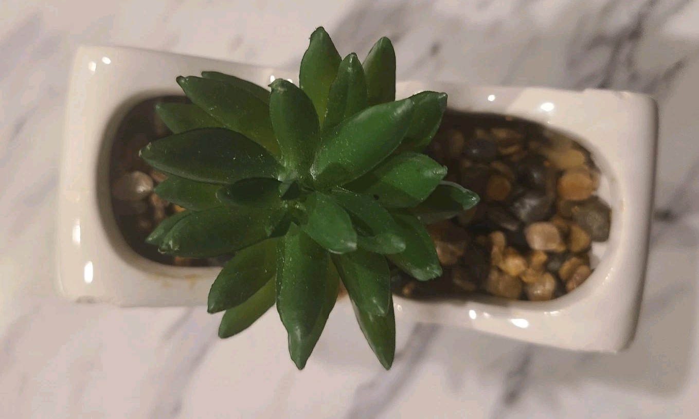 1 Pc Butterfly Planter Faux Succulent Gift (Some Chipping Wear)