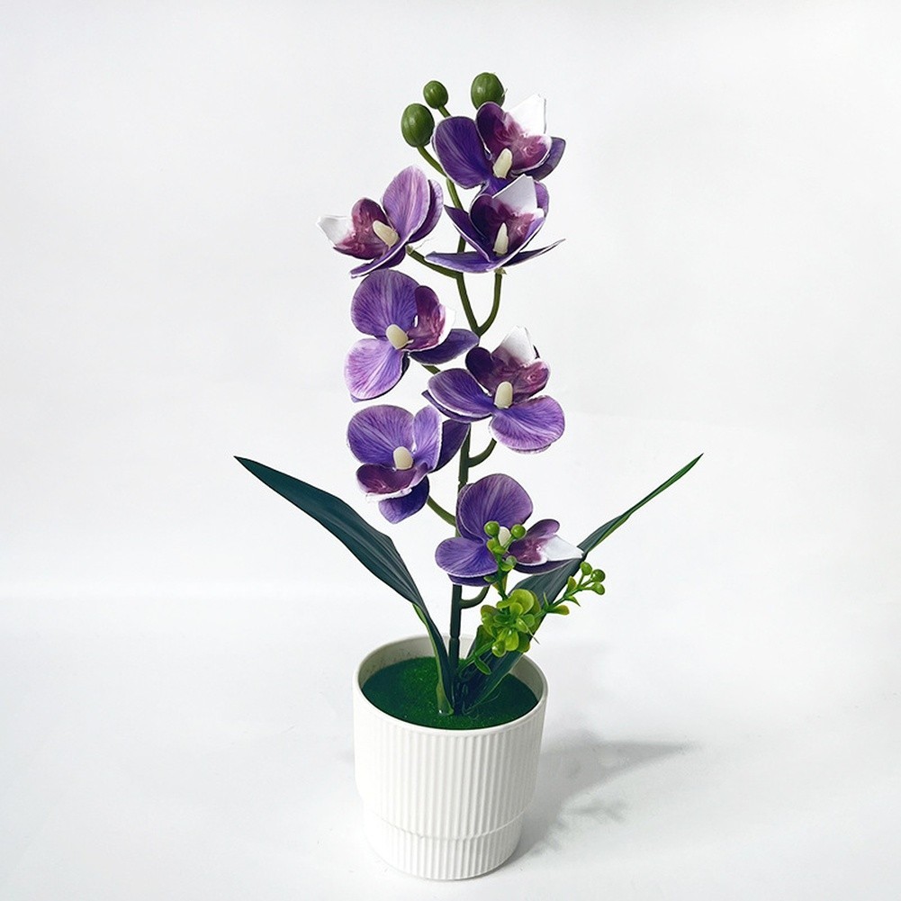 Artificial Butterfly Orchid in Pot 31cm Tall for Home Office Indoor Shelf Decor