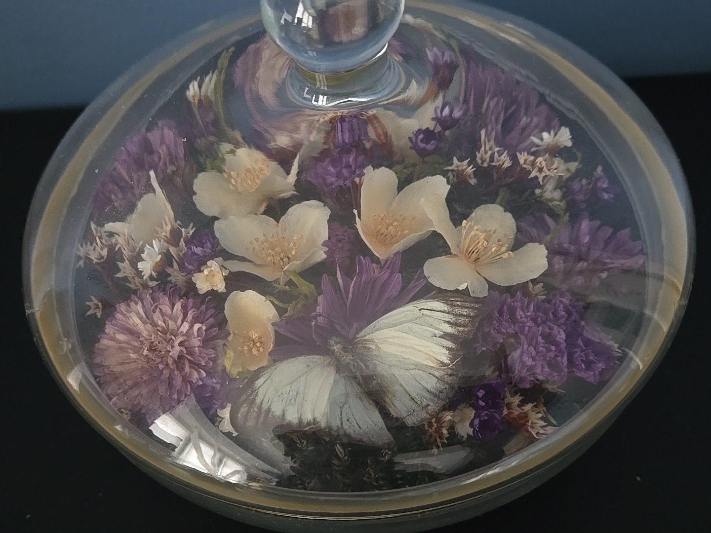 Vintge Apothecary Round Dome Dish Display w Lid Terrarium Floral Dried Flowers