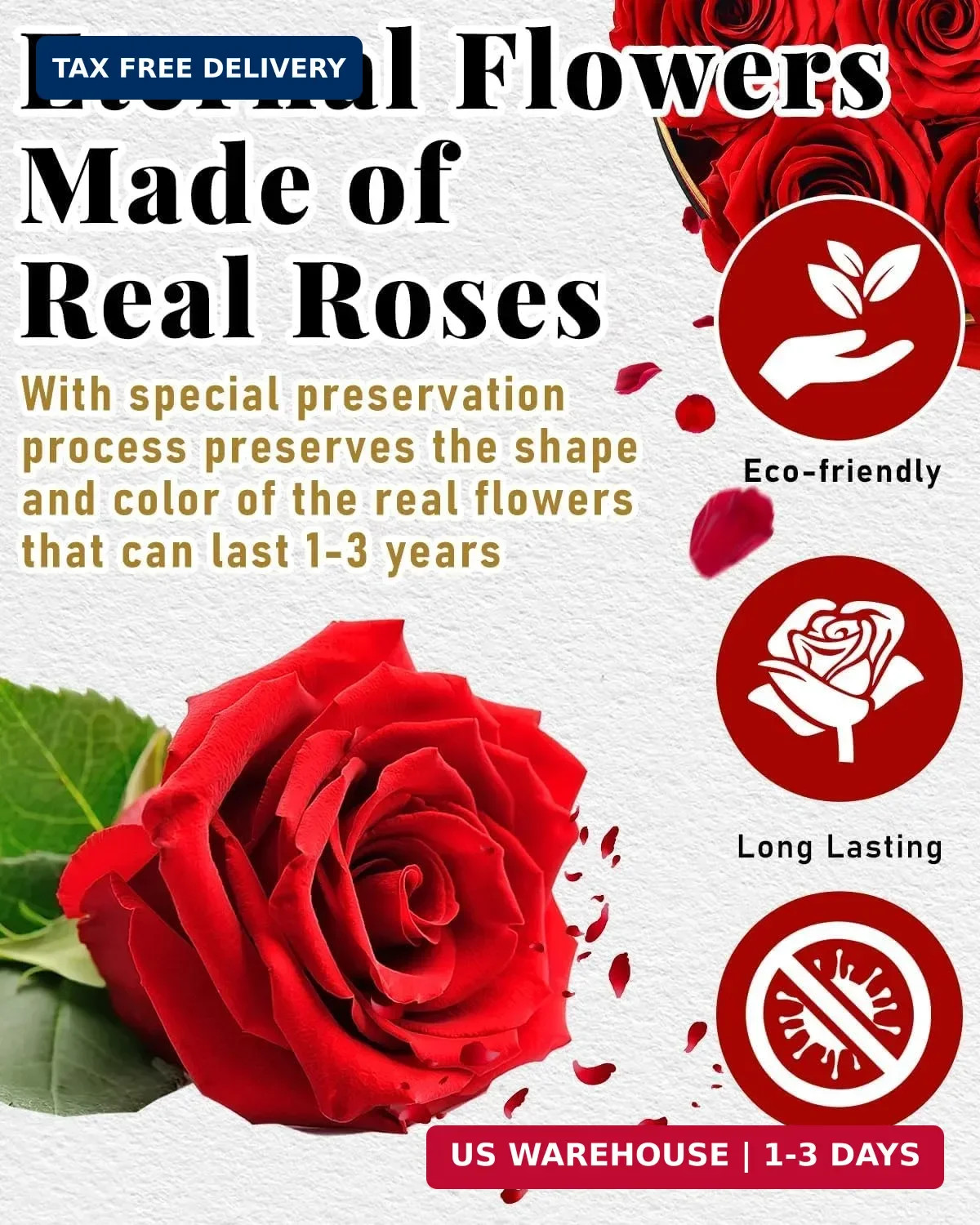 Changshunqi Forever Flowers Preserved Roses in a Box – 7 Preserved Flowers in a