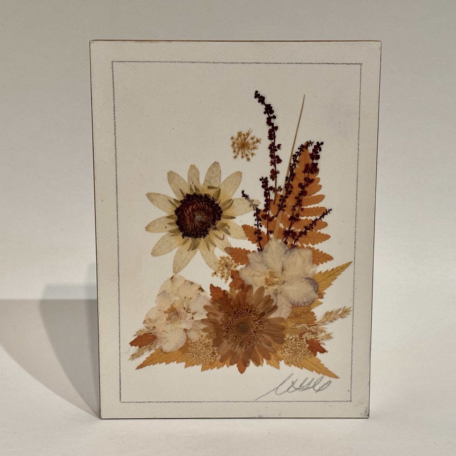 Country Girl Creations Naturally Preserved Flowers Leaves Wall Art Canada 6.5″