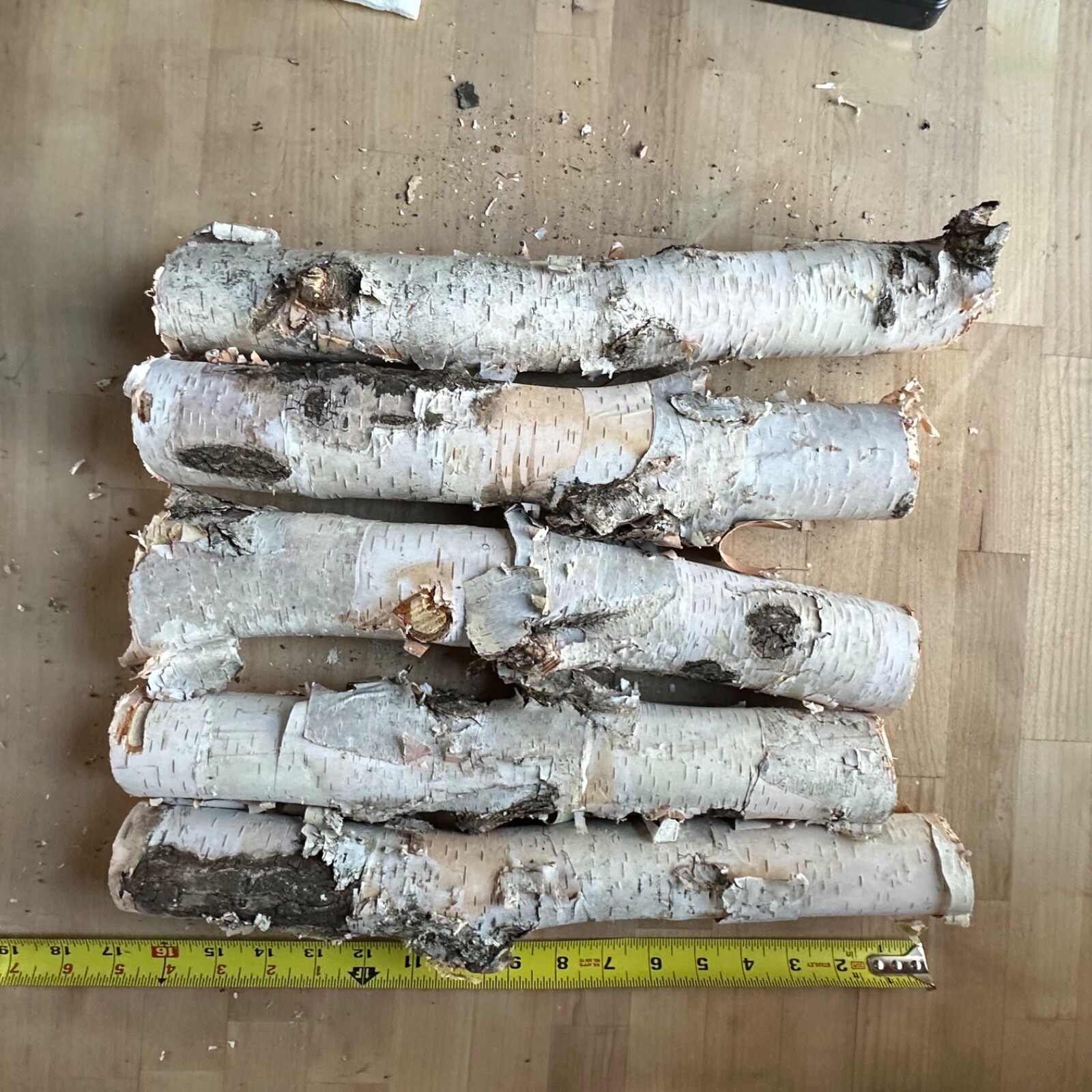 White Birch 5 Pc 14”-16” Long nice Decor Log Set Real Wood dried