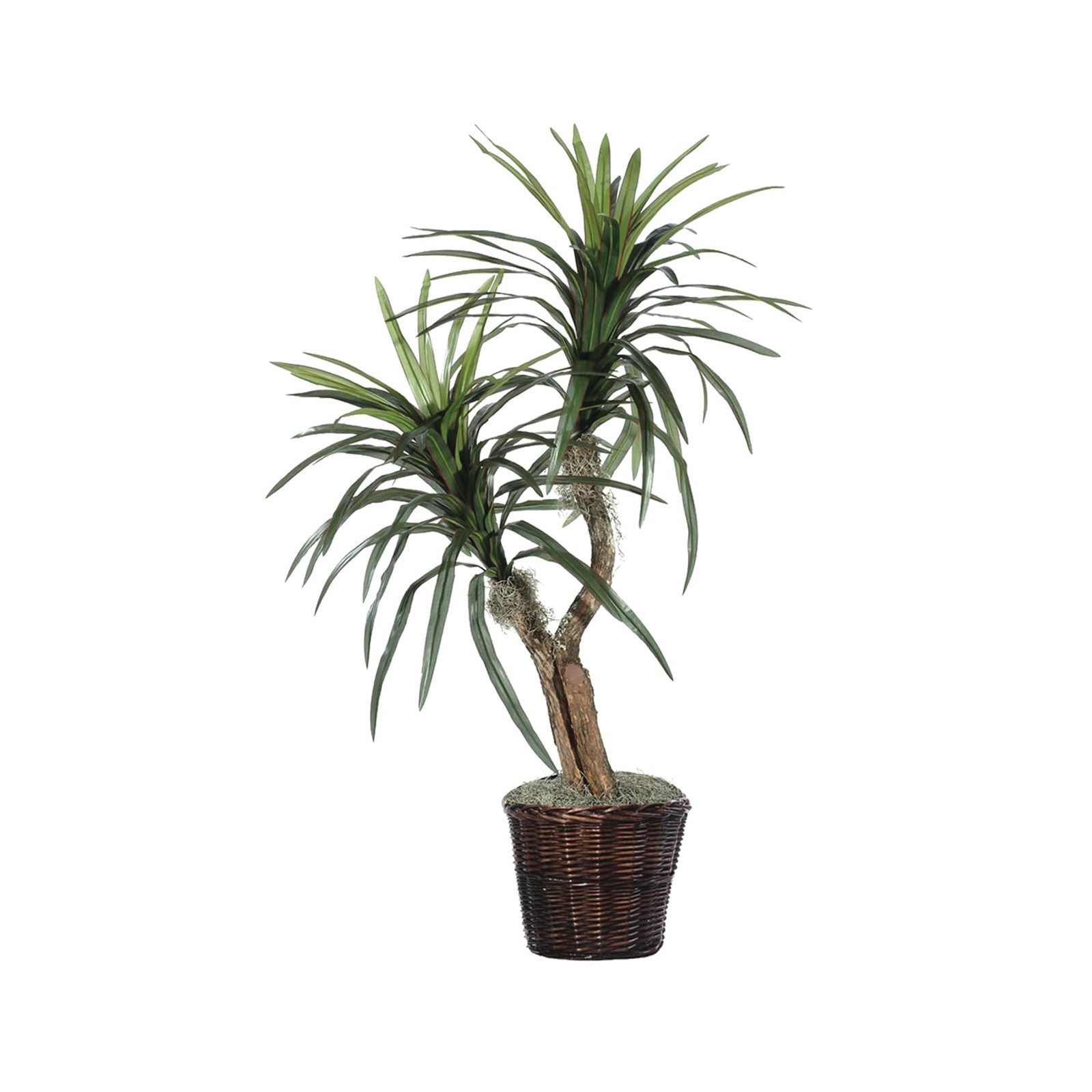 Vickerman 4′ Artificial Marginata Bush with Rattan Basket in Dark Green