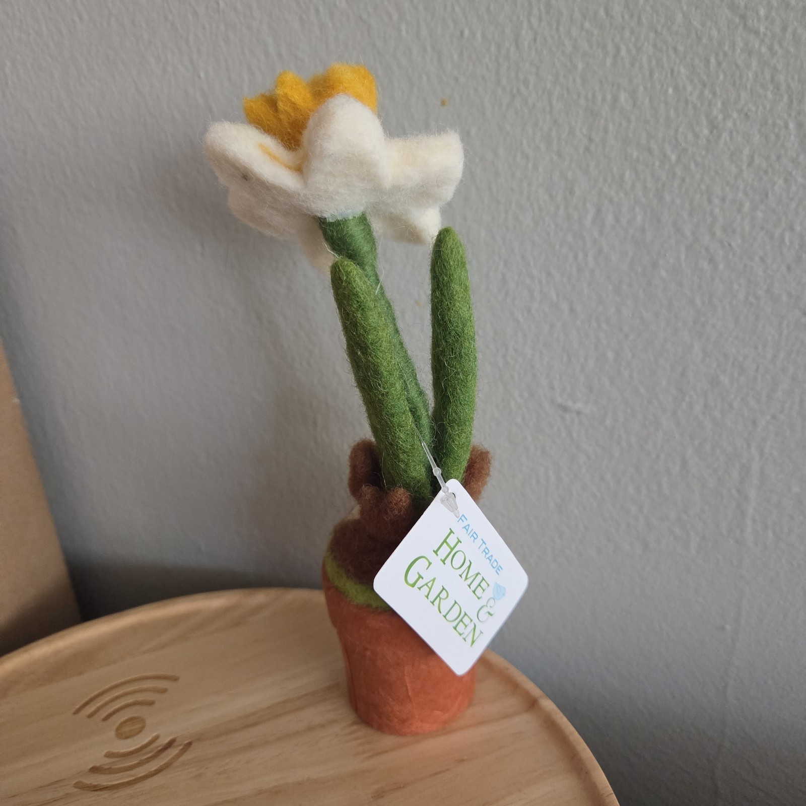 Needle Felted Wool Daffodil Blossom Potted Plant in Small Pot Decor DZI Handmade