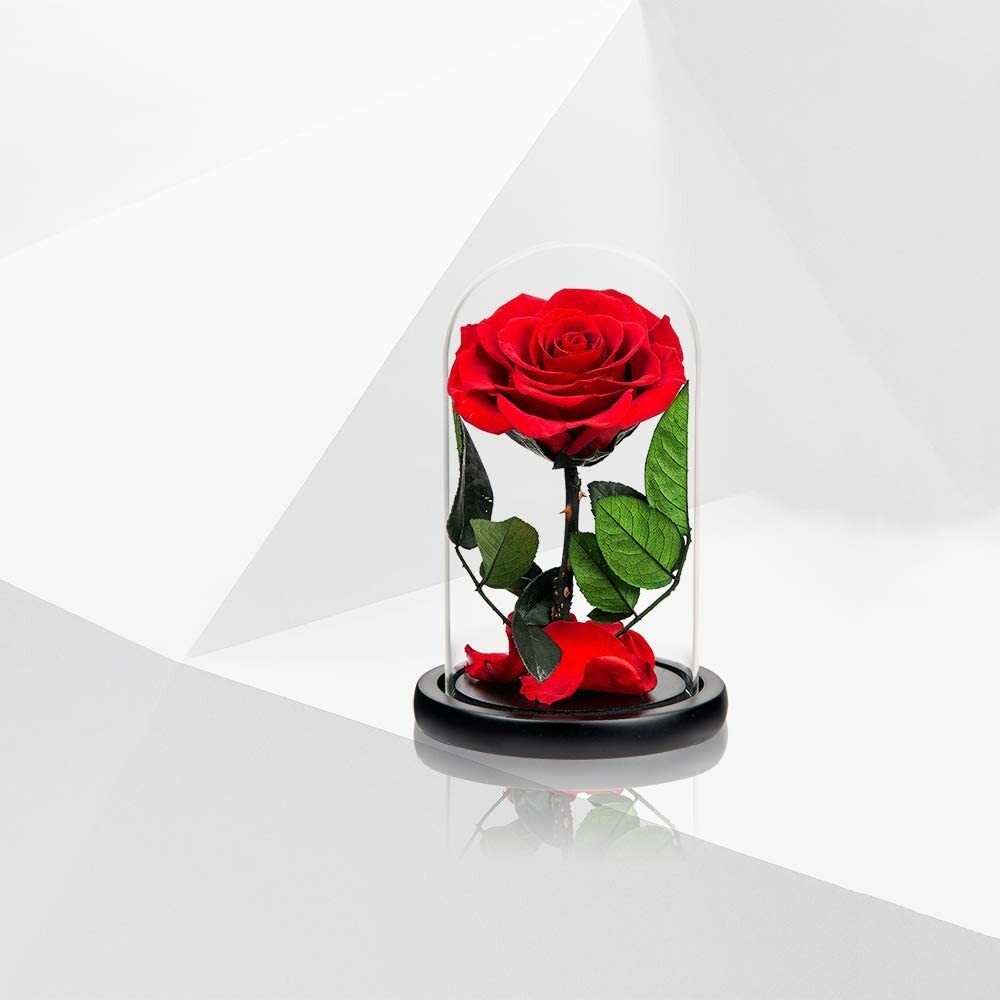 Preserved Real Rose in Glass Dome