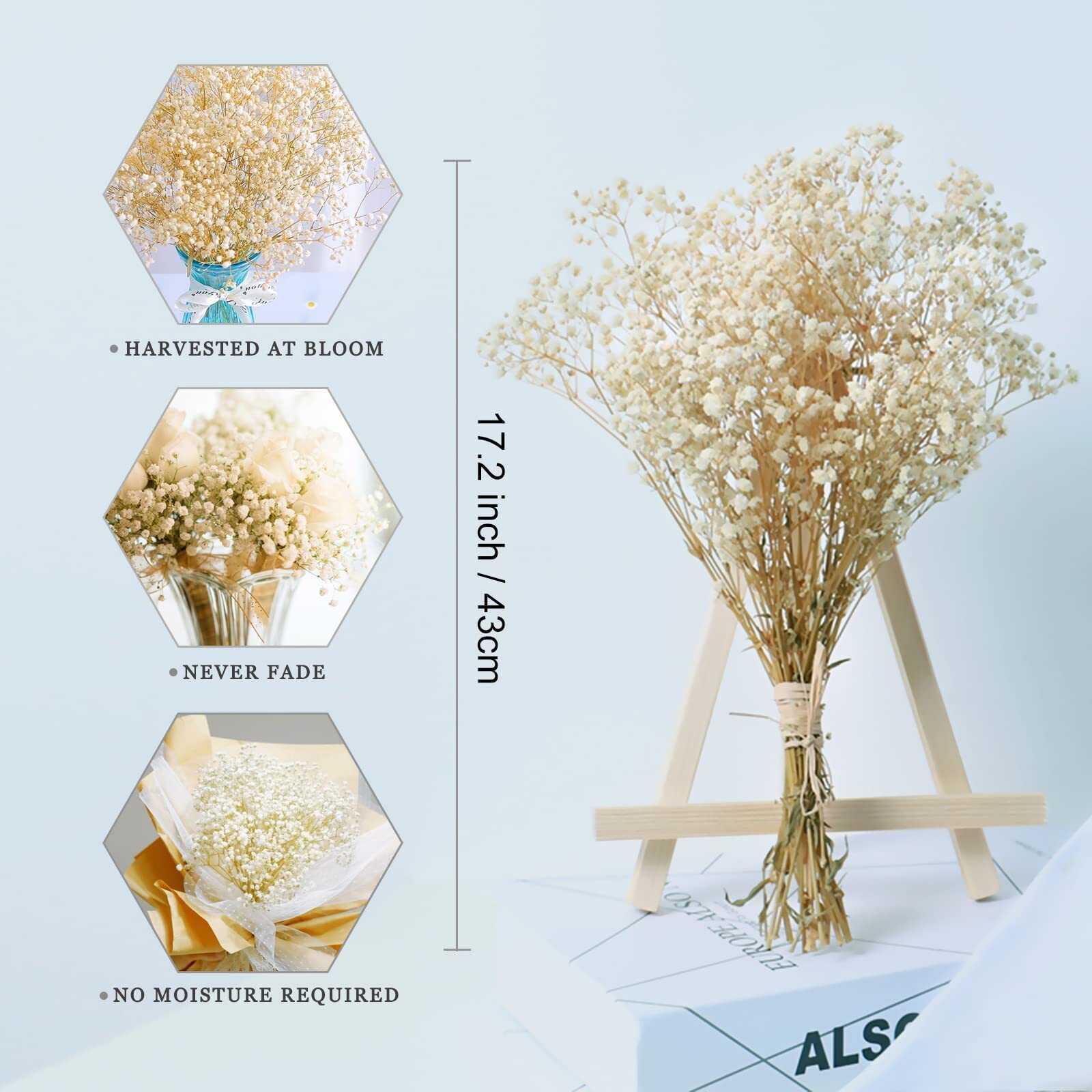 3000+ Driedbabysbreathbouquet17.2 Inch Ivory White Dried Flowers Natural Gypsoph