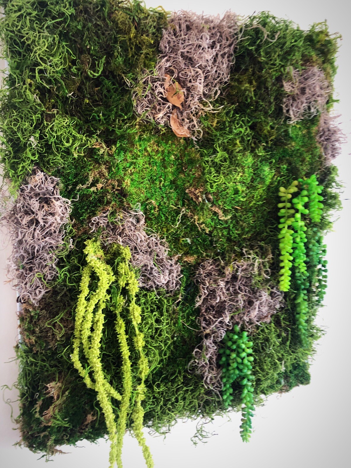 Preserved Moss Wall Art, USA Store