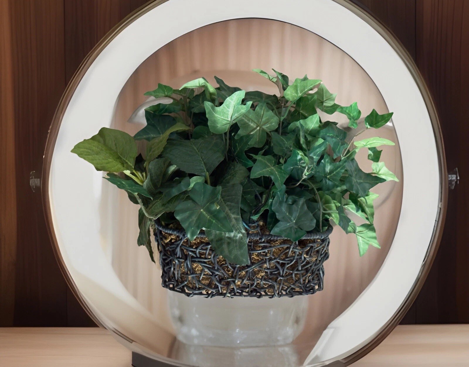Artificial English Ivy Plant in Dark Woven Basket Faux Silk Green Home Decor 17”