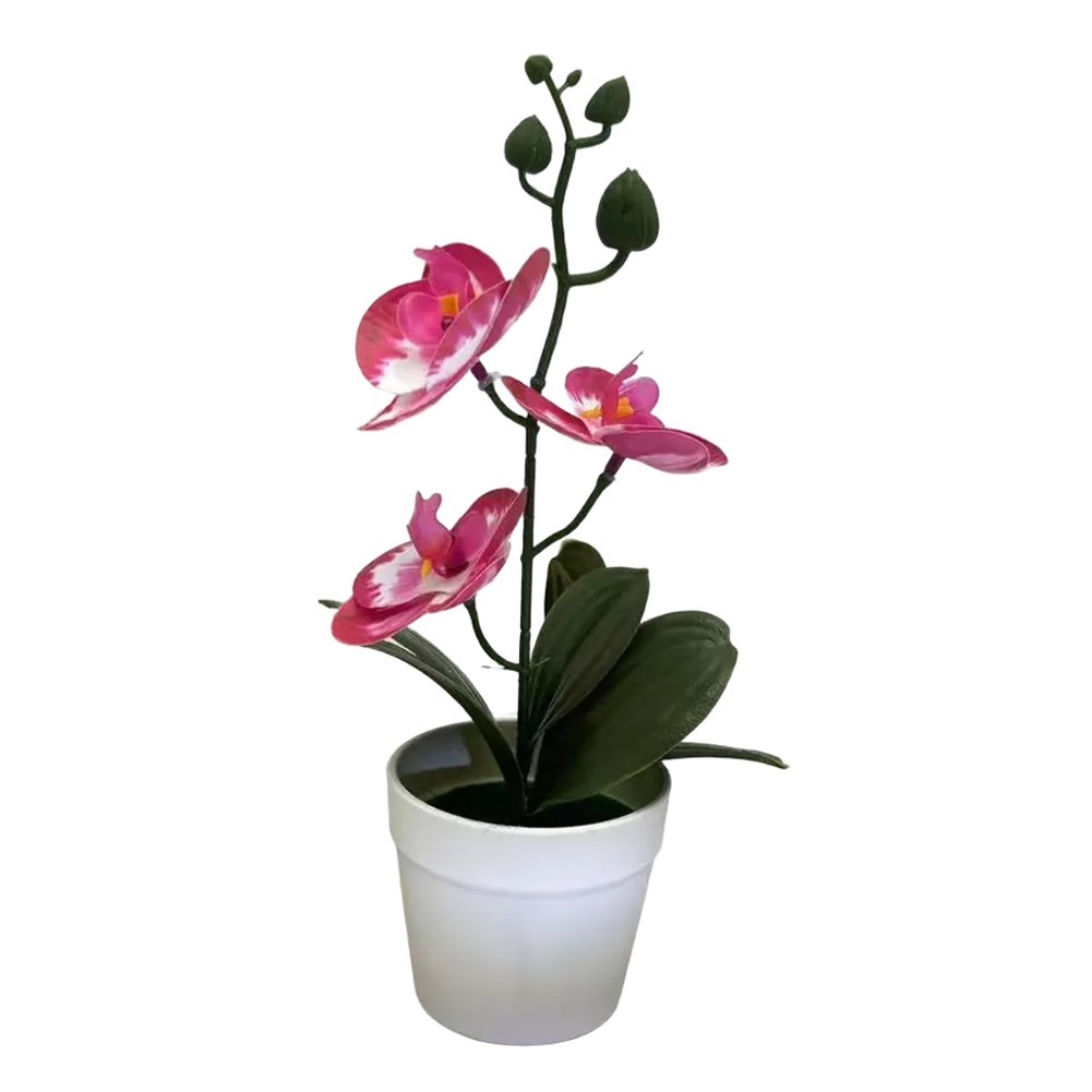 Phalaenopsis Bonsai Decorative Faux Plant Table Decoration Long-lasting Beauty