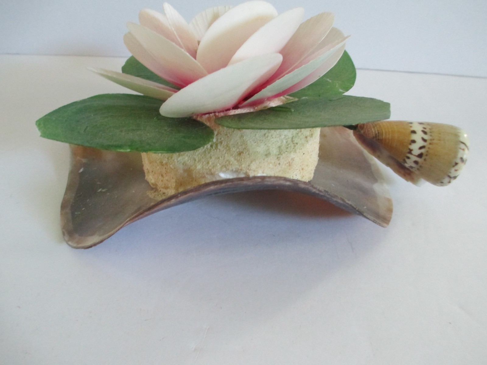 Floral Shaped Shells Blooming Flower Decorative Piece Art Home 6 x 8 in Vintage
