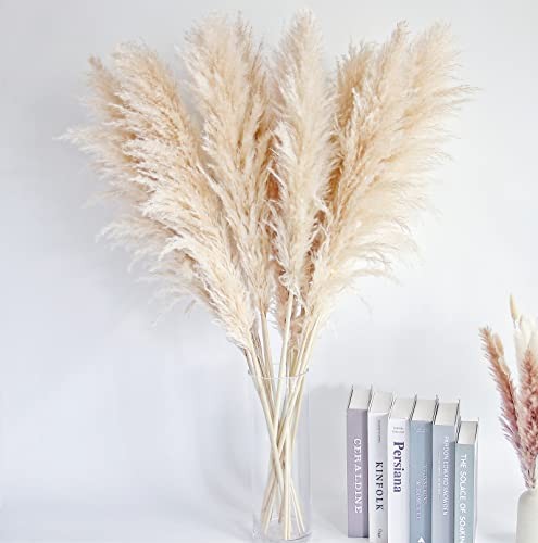 40″ inch Stems Natural Pampas Grass Decor Tall, pompas Grass, Tall Pampas 10