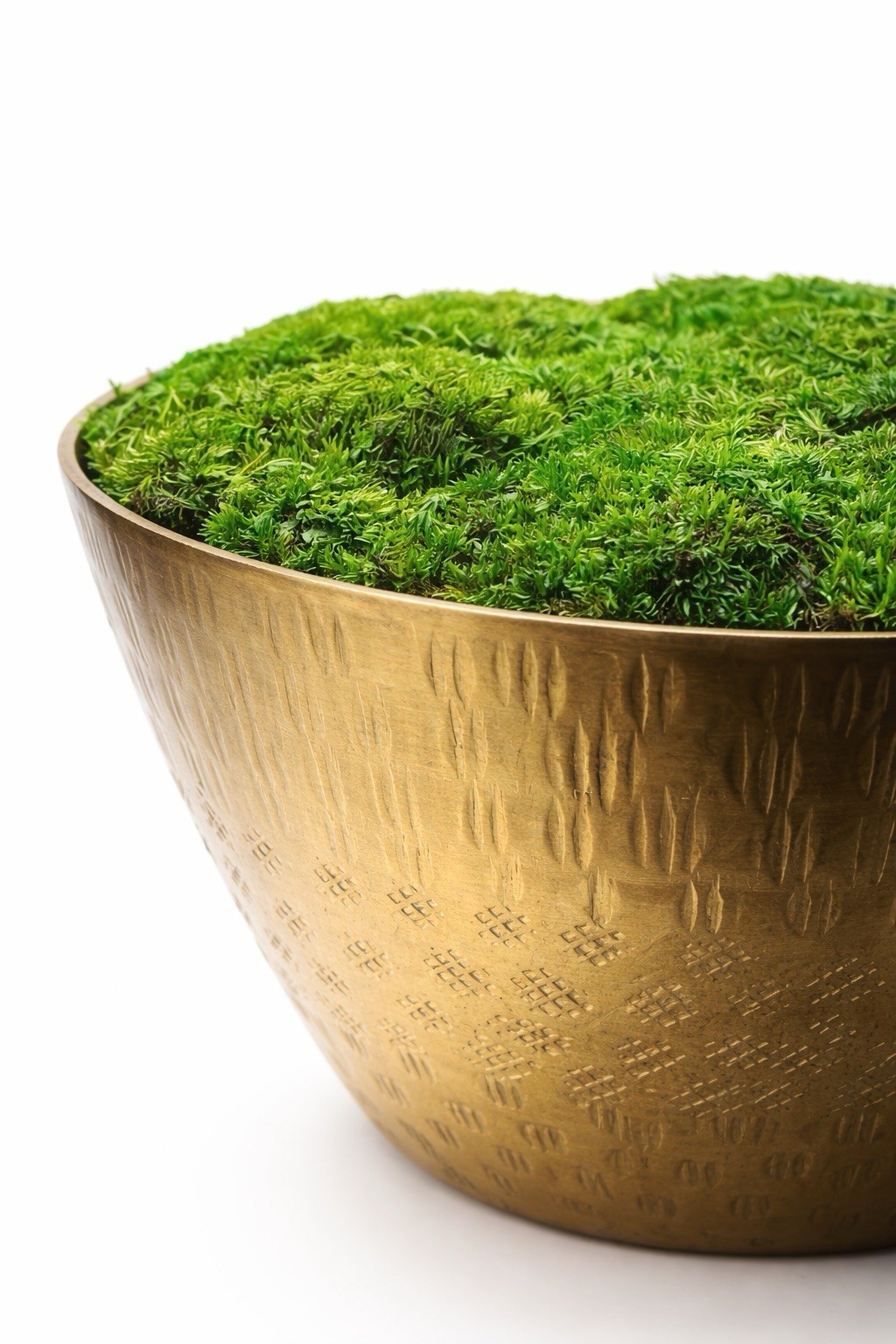 Preserved Moss Brass Bowl 5” x 6” Handmade Botanical Decor · No Maintenance Moss