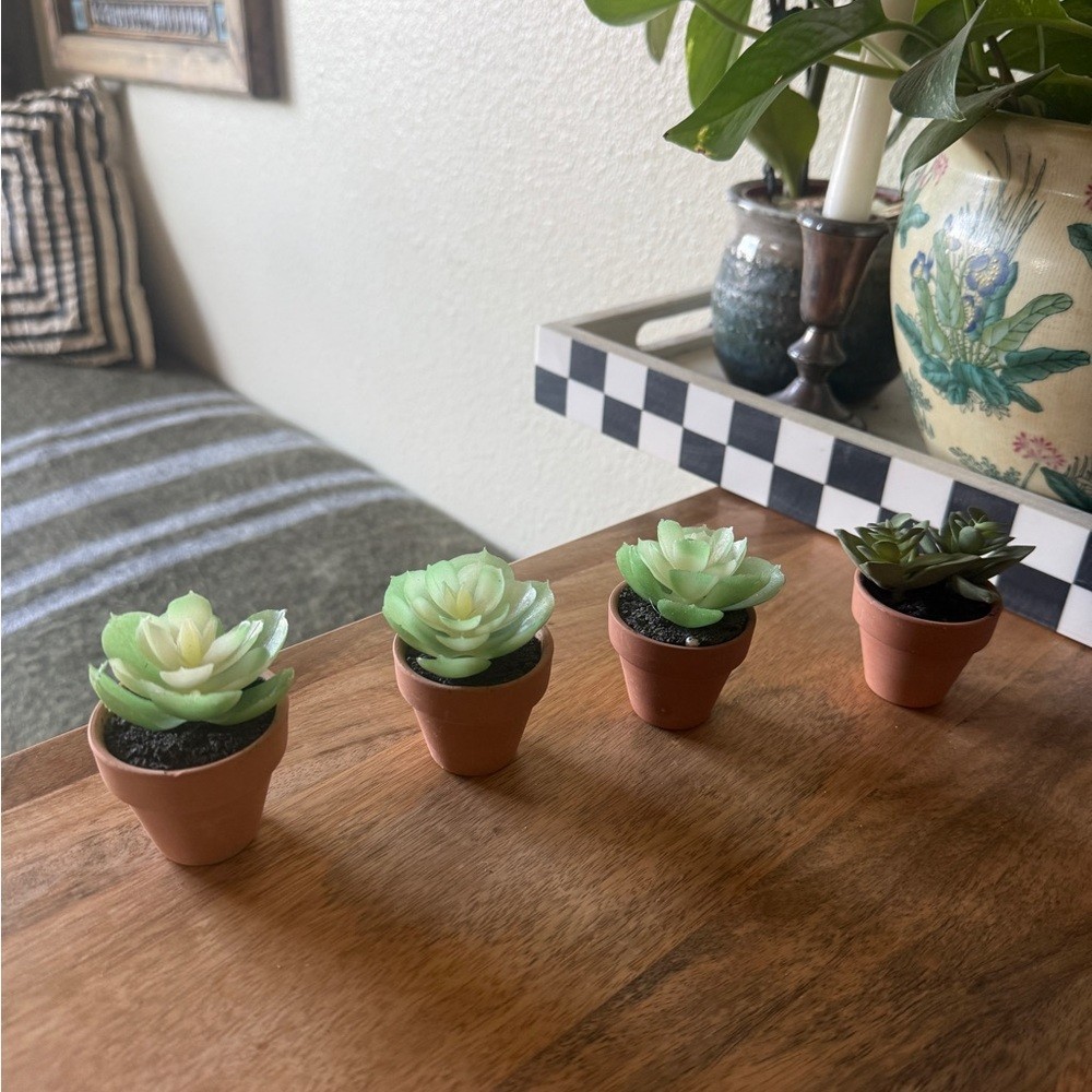 Set of new small decor succulent plant 4 qty table top home accent mini event