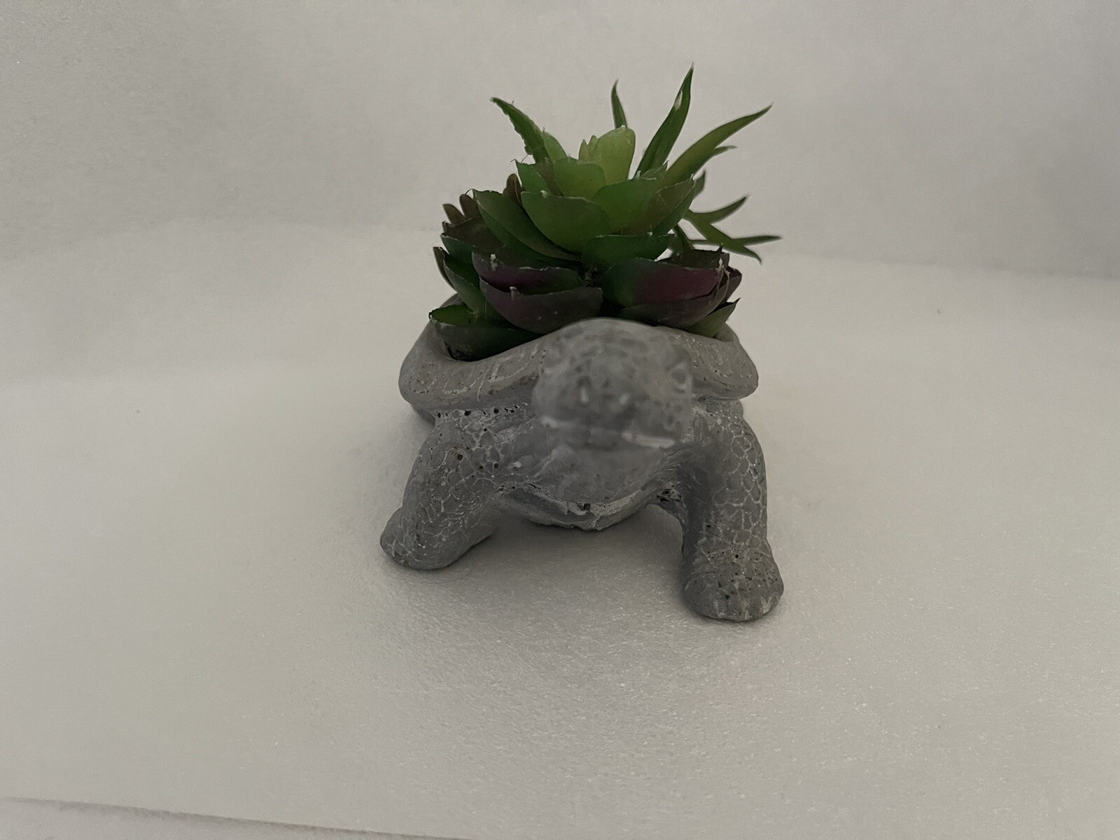 Carved Stone Turtle Potted With Faux Succulent Plants Garden Home Decor Swirls