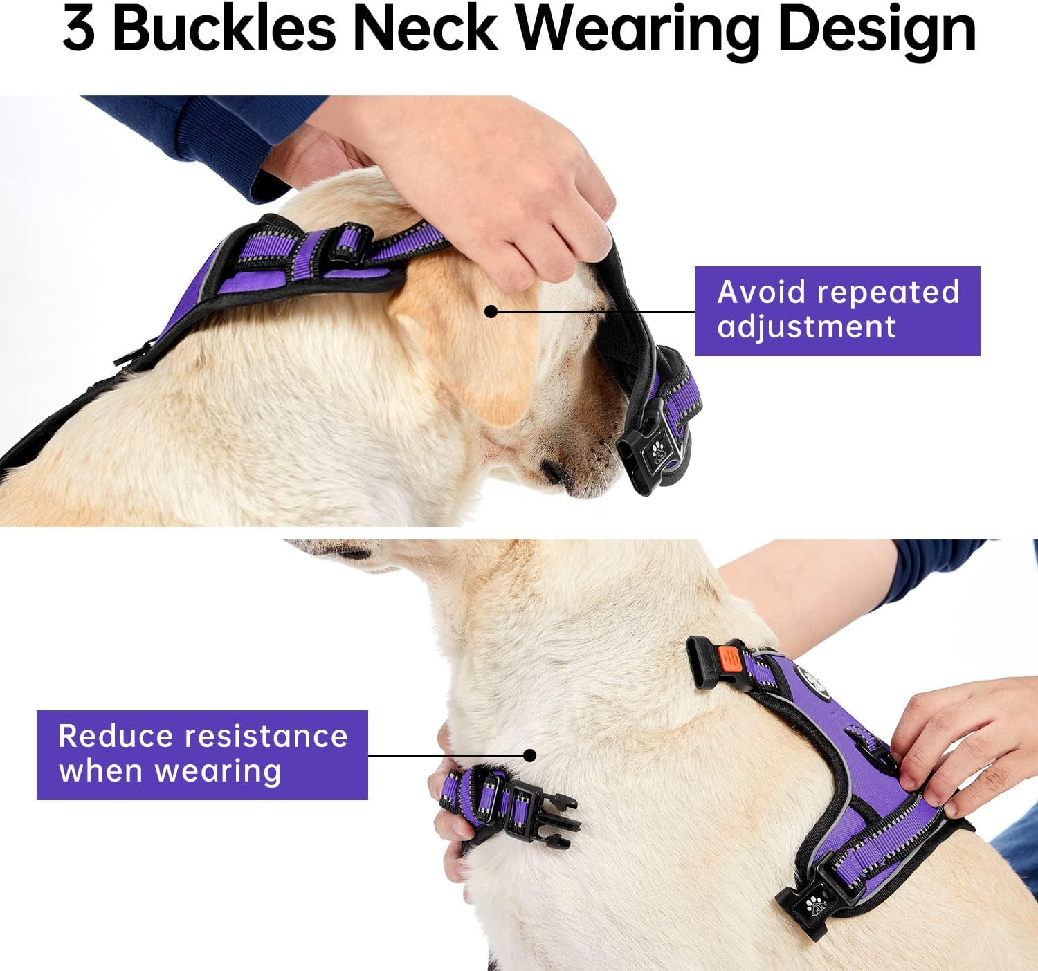 No Pull Dog Harness for Small Dogs, Dog Vest Harness with Leash, Safety Belt and