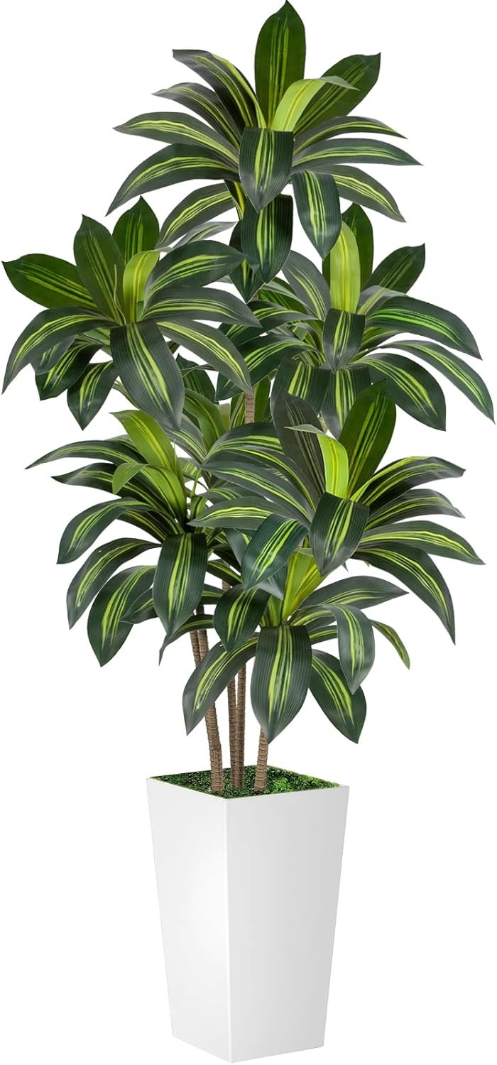 Artificial Plant – 6FT Dracaena Tree, 72in Tall Faux w/ 15.7″ White Planter