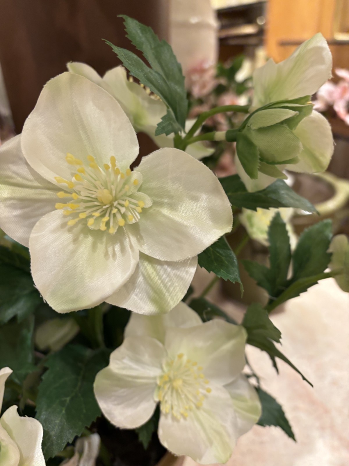 NEW Pottery Barn Faux White Hellebore Floral Flowers Terra Cotta Potted Plant