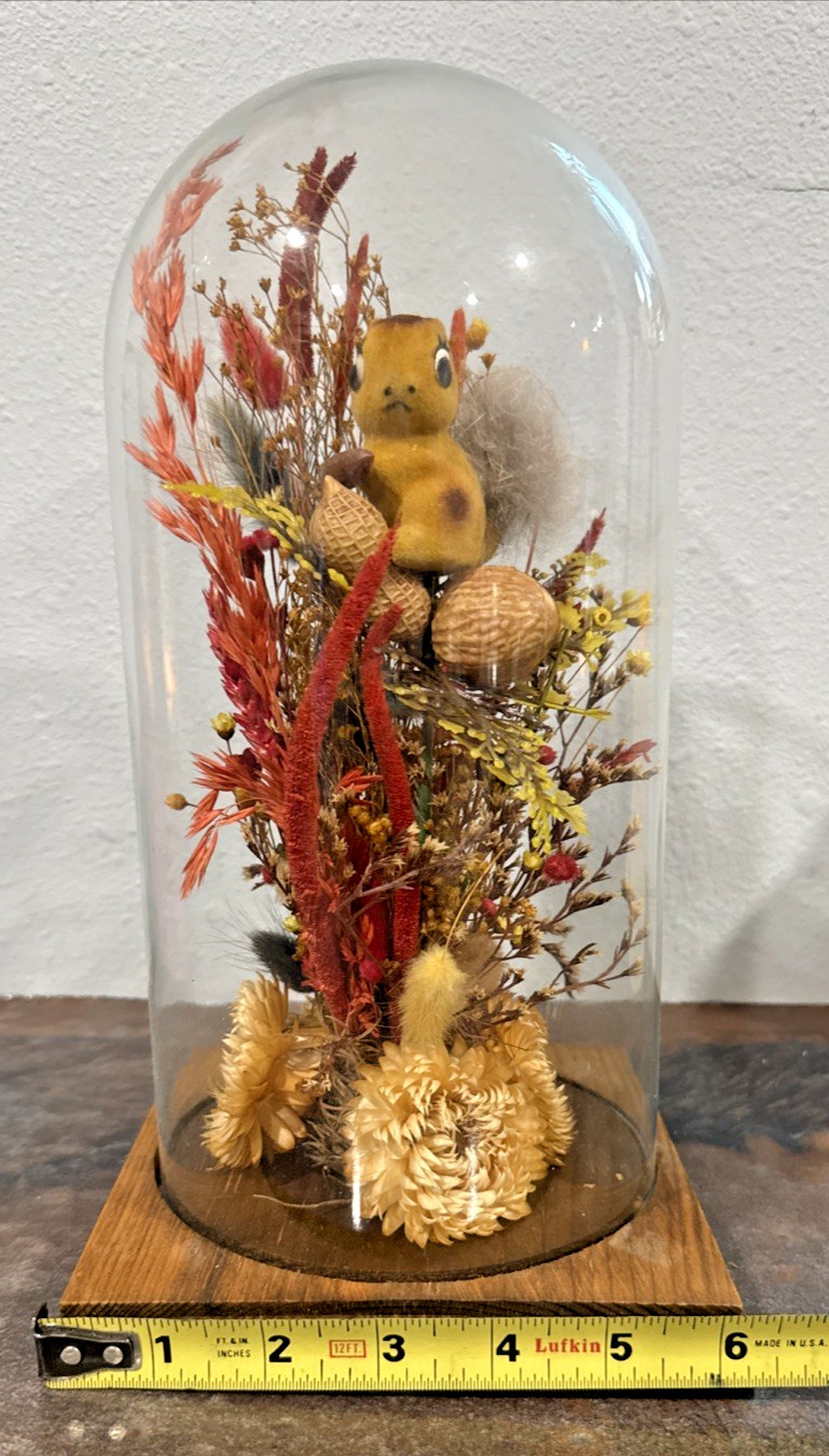 Vintage Roppolo Squirrel Diorama Dome – Mid-Century Floral Taxidermy style
