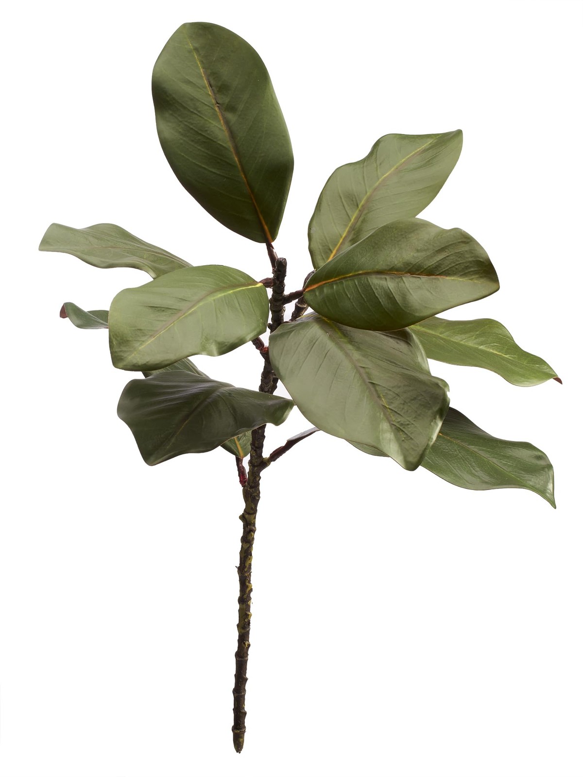 Realistic Southern Magnolia Branches 22 Inch Real Touch Leaves Set 3 PCS