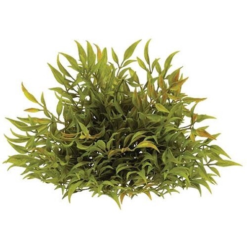 New Farmhouse Country SIMLAX GREEN Half SPHERE Rustic Leaves 8″ Primitive