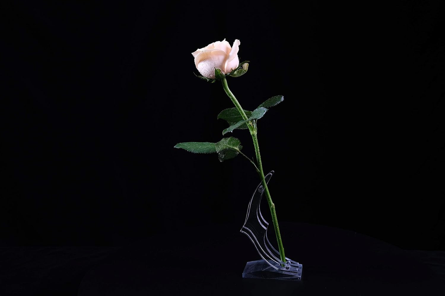 24K Rose Display Stand for 24K Gold Rose – Transparent Acrylic Flower Shelf Supp