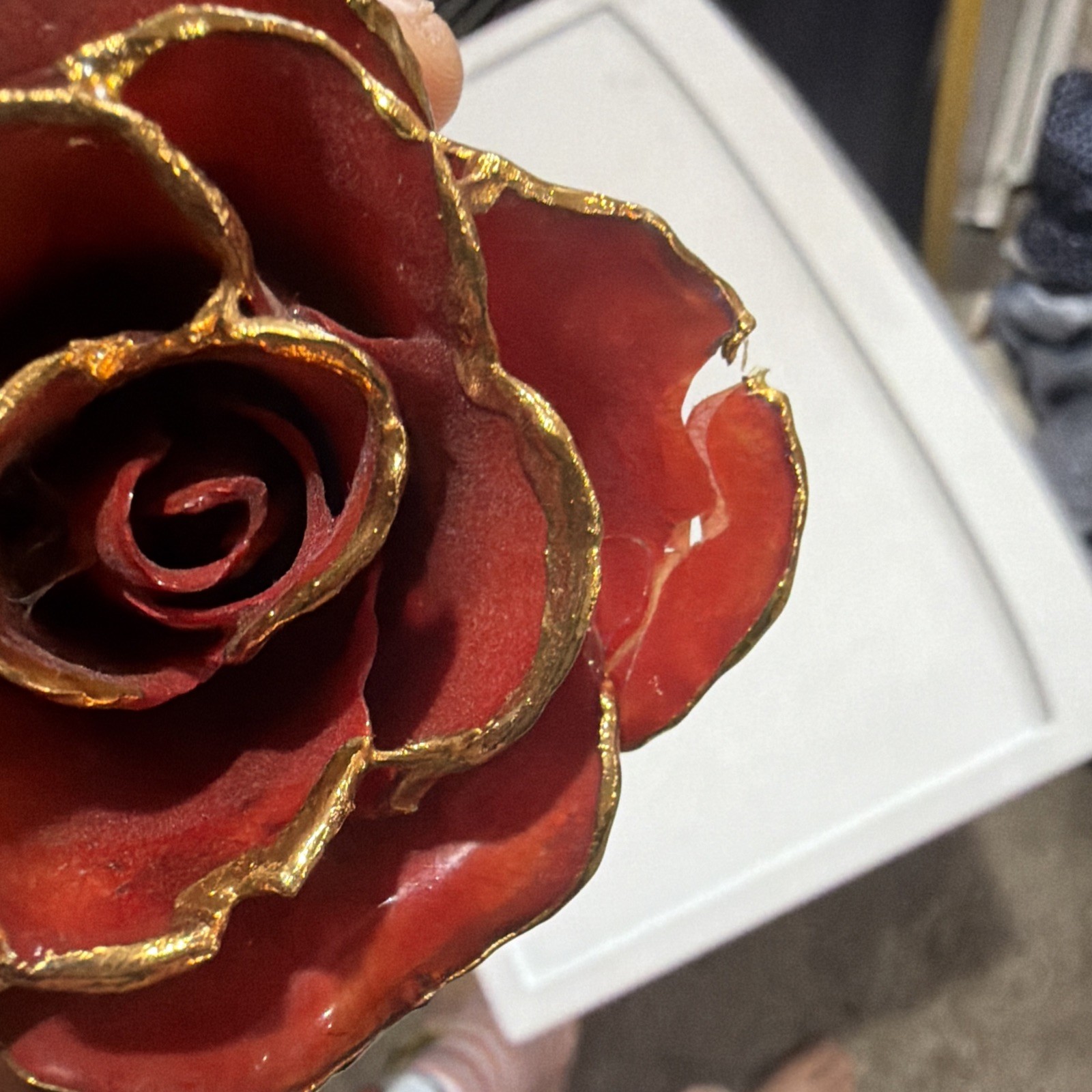 Forever Rose, Genuine Real Rose, Hand Dipped in Lacquer and Trimmed in 24K Gold