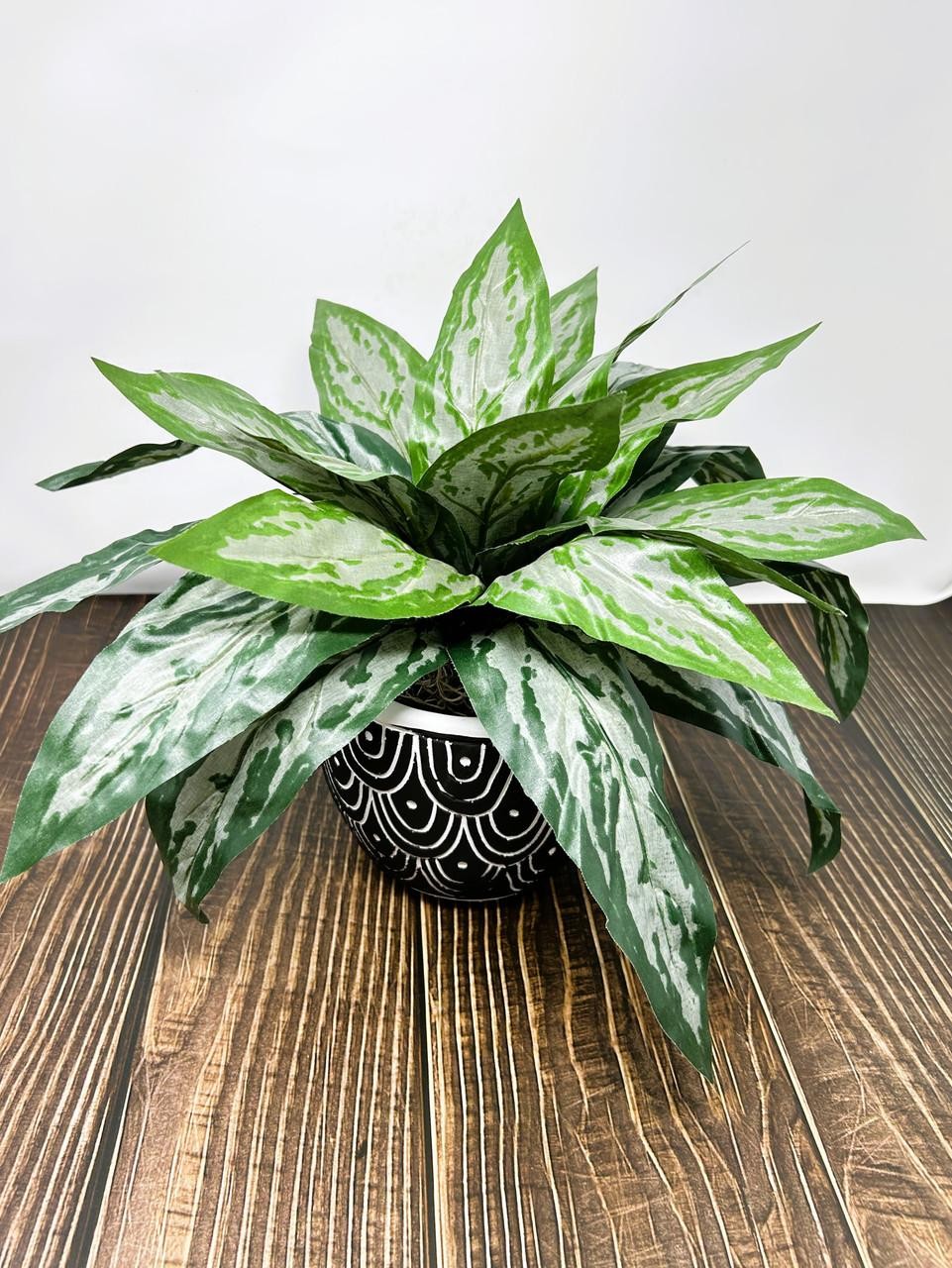 Silk Silver King SWORD plant in Black Ceramic Pot, handmade original by Lower Fo