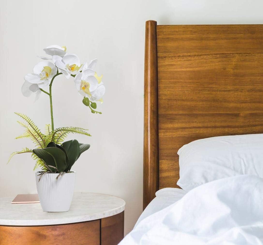 Decorative 16-Inch White Orchid – Perfect for Homes & Events – Low Maintenance