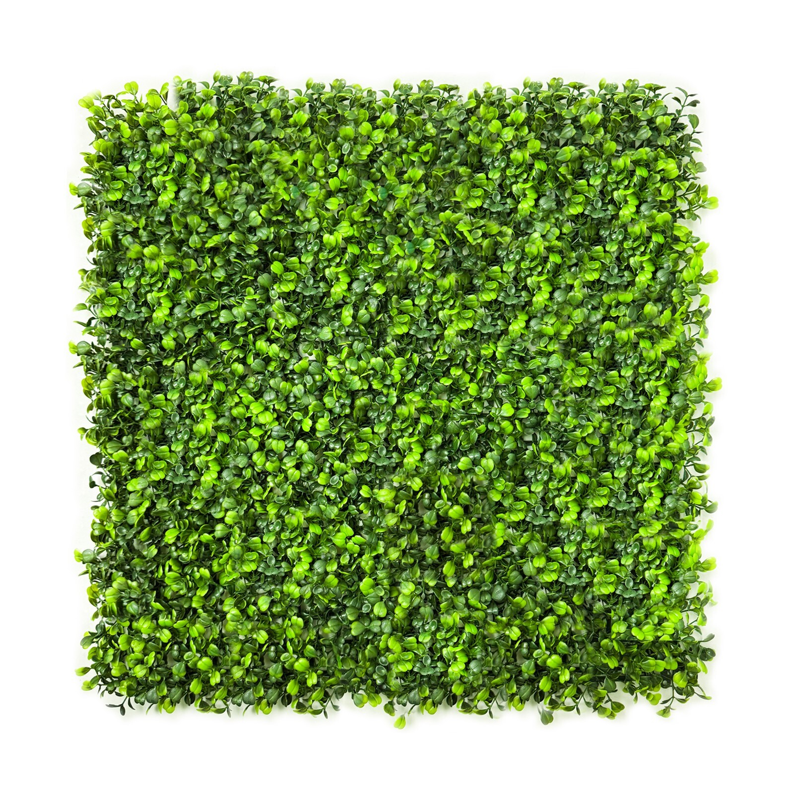 12pcs 20″ X 20″ Grass Wall Artificial Boxwood Panels Boxwood Hedge UV for Fence