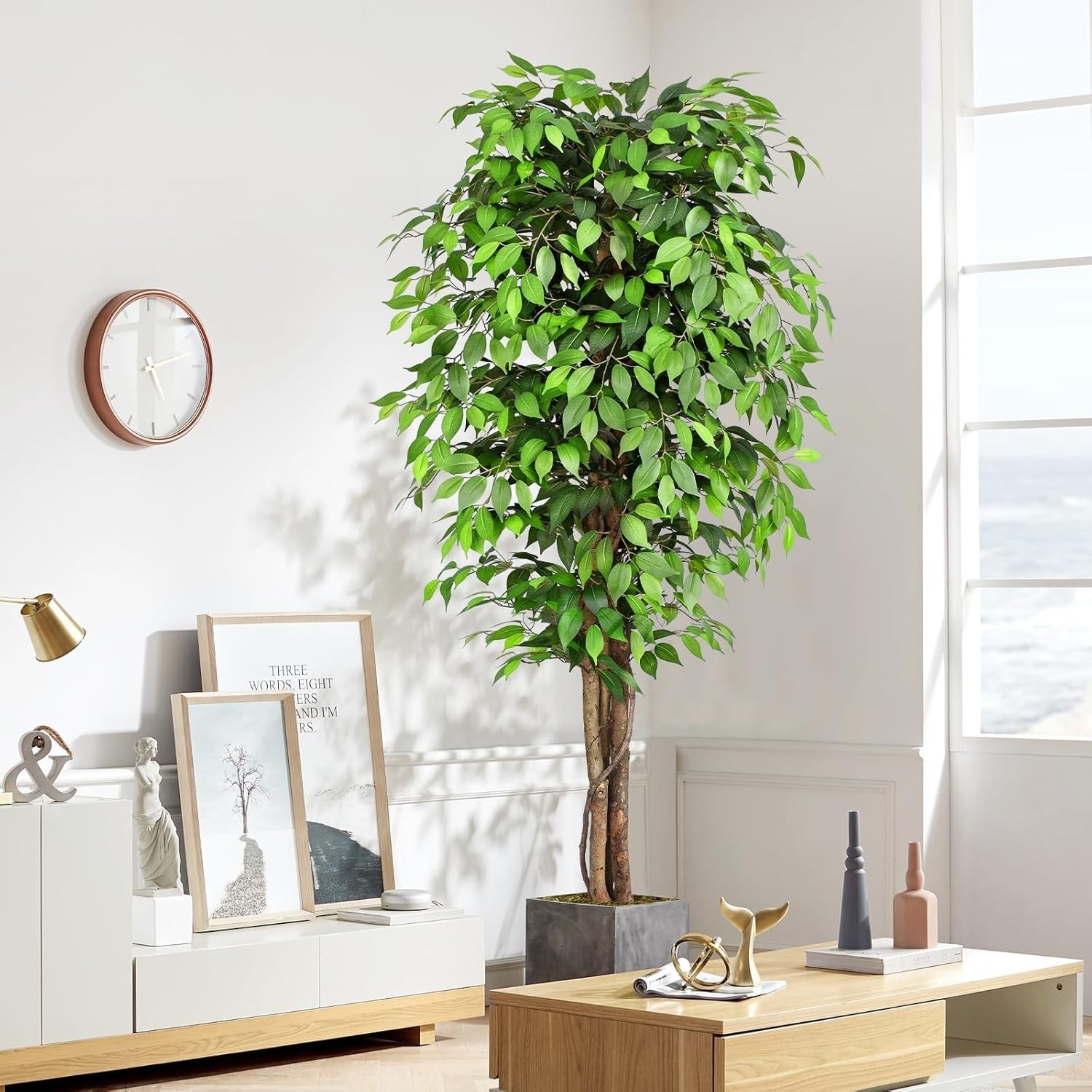 Large 7ft Ficus Tree for Home Decor=