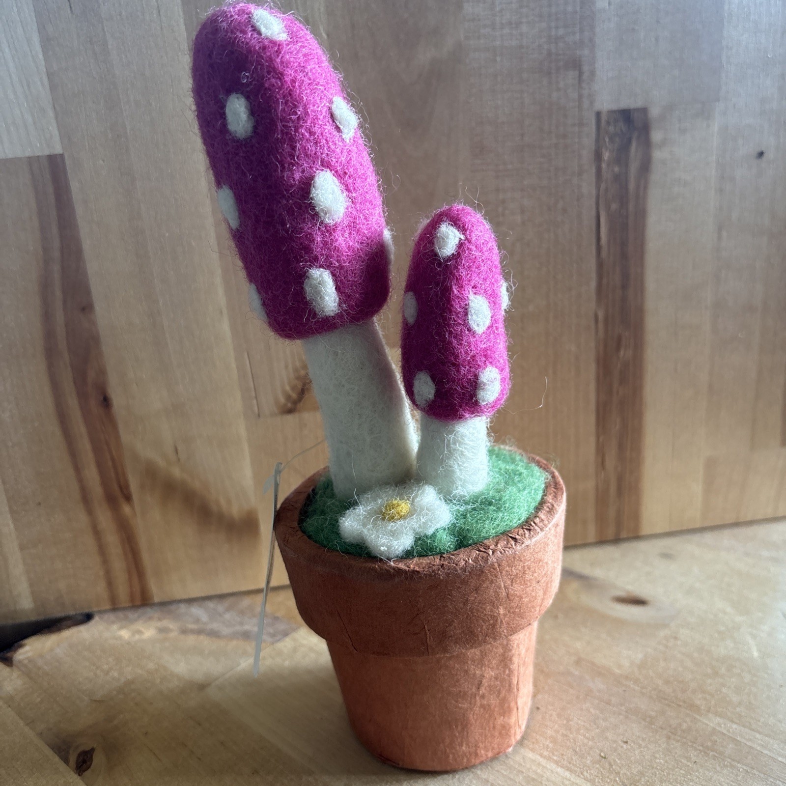 Fairy Mushrooms Wool Potted Super Cute! 8”