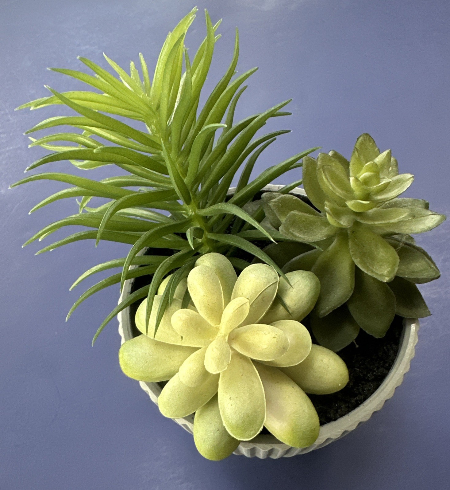 SWEET ARTIFICIAL SUCCULENT PLANTS IN GRAY POT