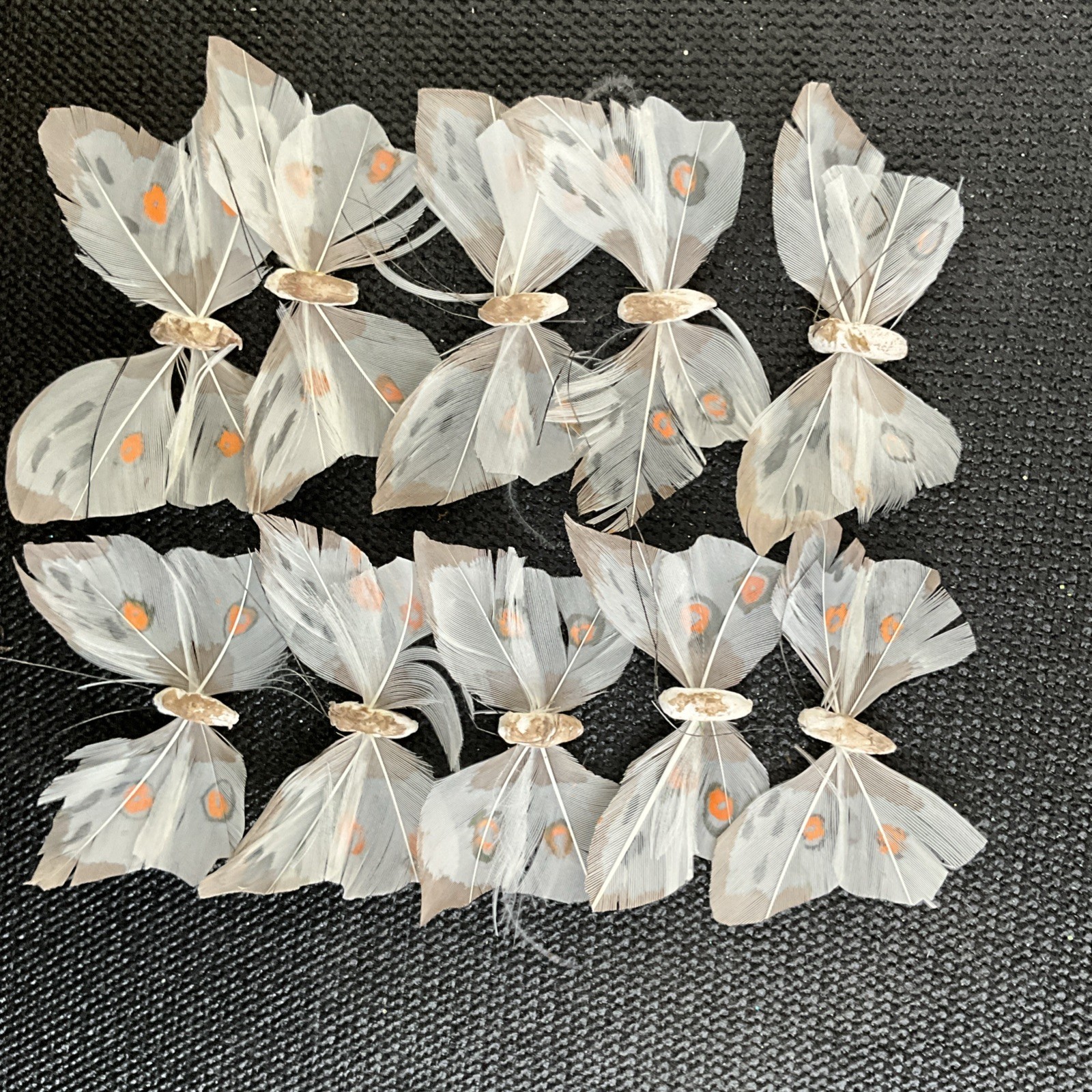 The Butterflies For Craft or Decoration