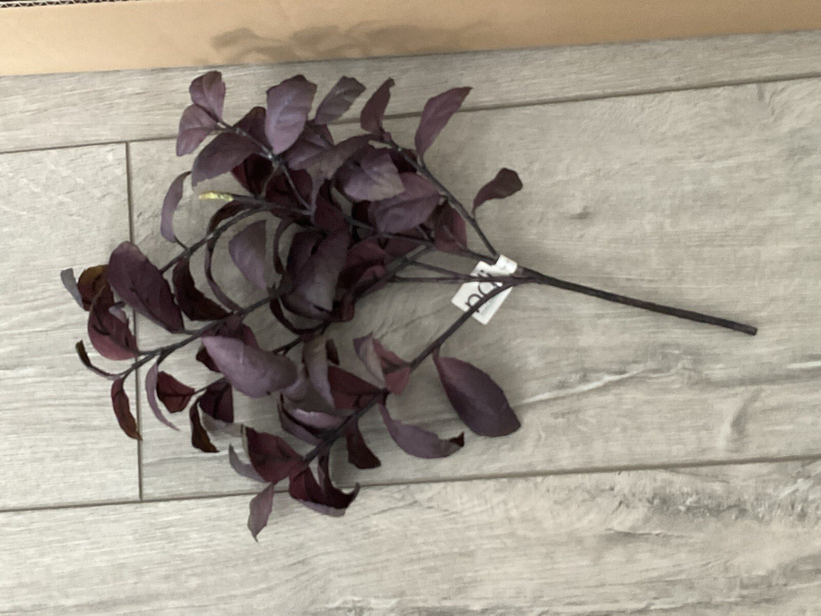 ndi “Herb Basil” Lot Of 12 Burgundy Colored 14” Floral Picks. Orig. $155. NEW.