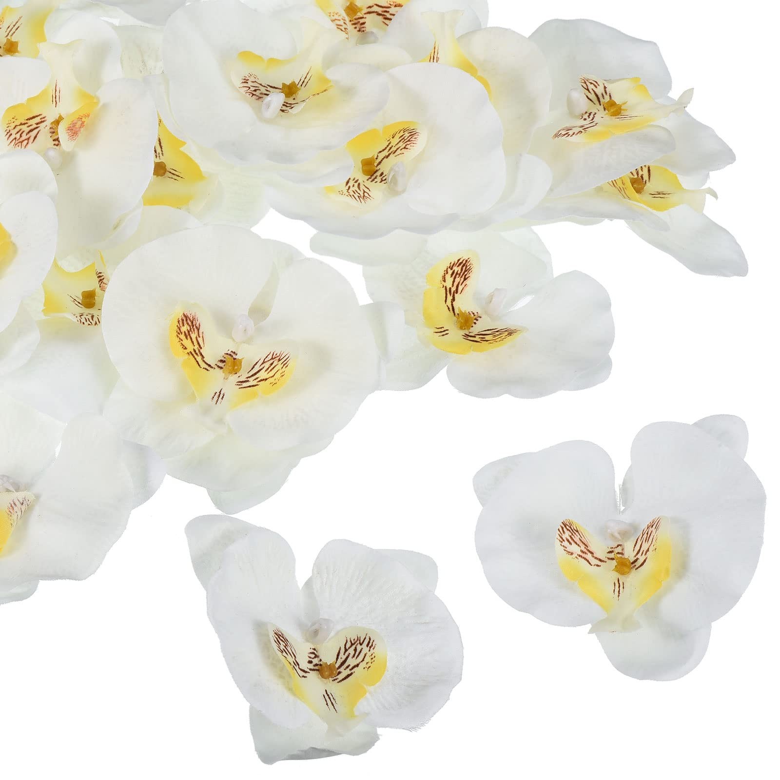 3.5″ Artificial Orchid Flower Heads, 20 Pack Silk Phalaenopsis Fake Butterfly…
