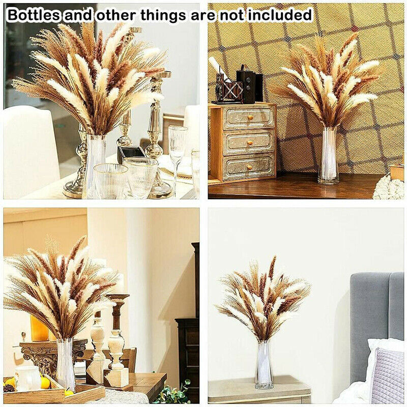 60Pcs Natural Dried Pampas Grass Reed Flower Bunch Bouquets Xmas Wedding Decor