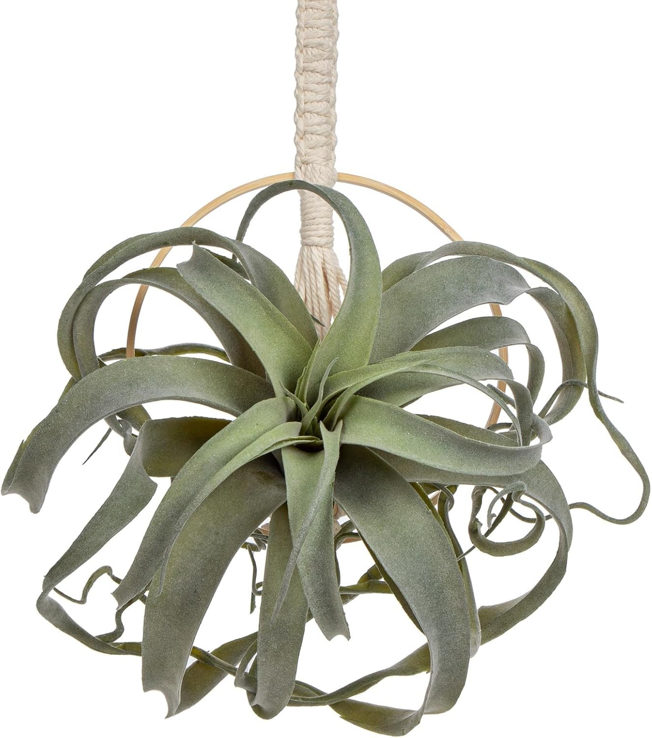 Artificial Air Plants 11 Inch Fake Hanging Plant Real Touch Lifelike Fake Succul