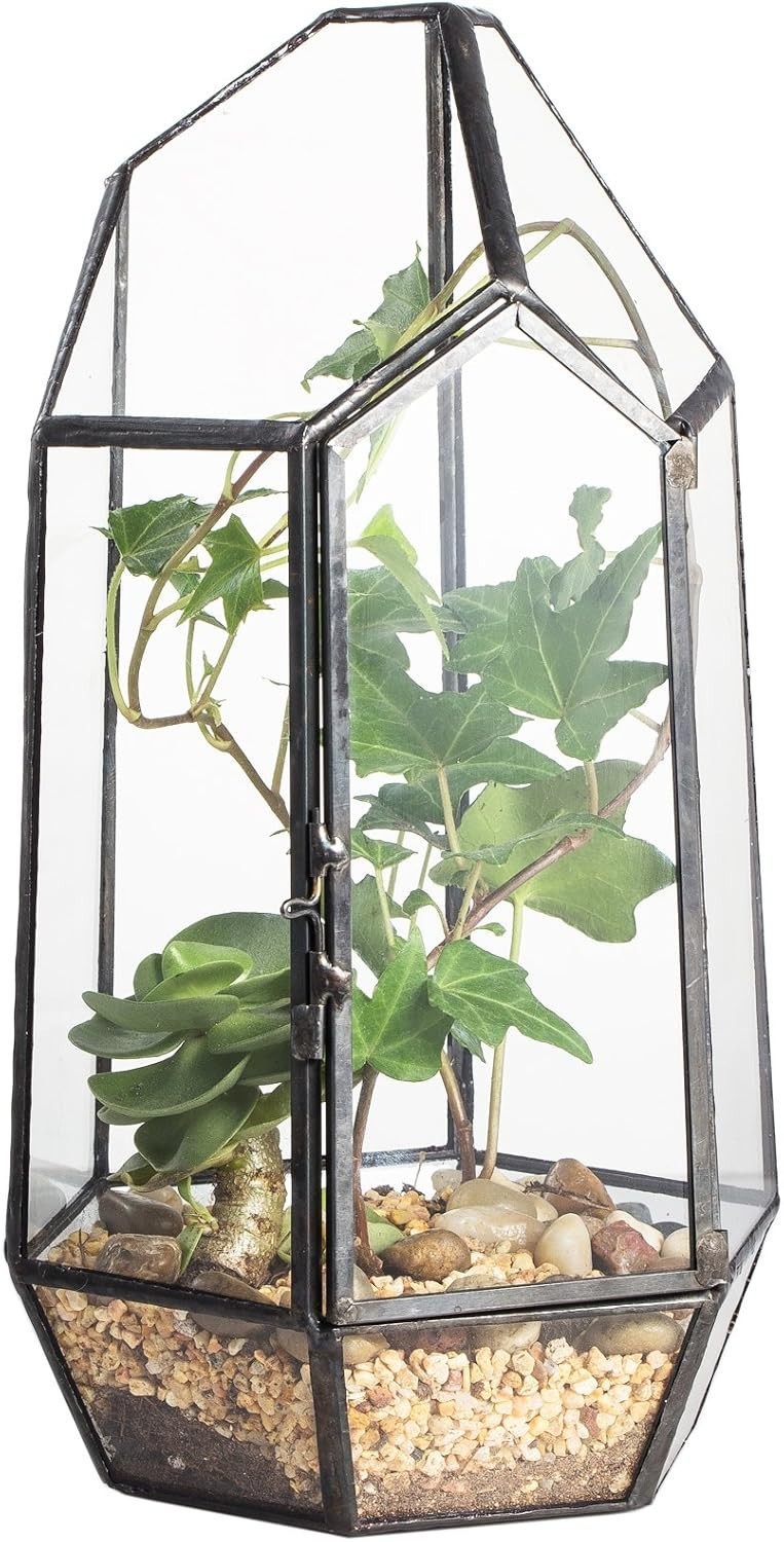 Compact Irregular Glass Terrarium Planter – 5.1” Indoor Decor for Moss & Fern