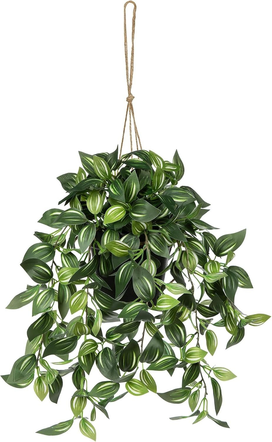 Lifelike 17.7″ Faux Watermelon Peperomia Hanging Plant in Black Pot – No Upkeep