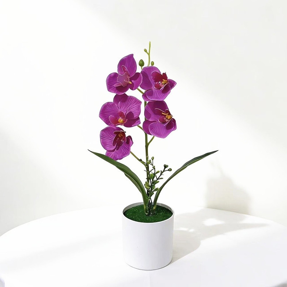 White Yellow Purple Blue Phalaenopsis Orchid Arrangement for Indoor Desk Decor